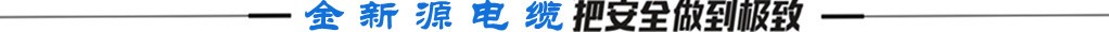金新源核心产品把安全做到极致